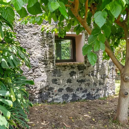 Avocado Garten By Interhome