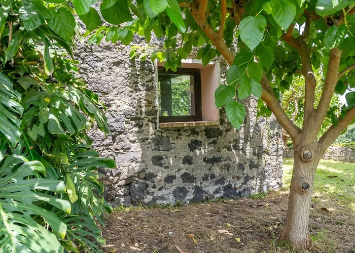 Avocado Garten By Interhome